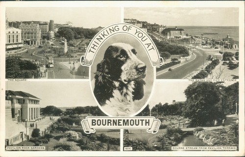 Bournemouth views - 4,