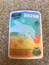 Bear Yoyo Cards - Animals