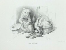 The Beggar Dog Edwin Landseer with text Engraved Print 1869 