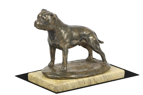Staffordshire bull terrier - bull,