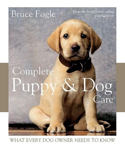 Complete puppy dog - puppy, care