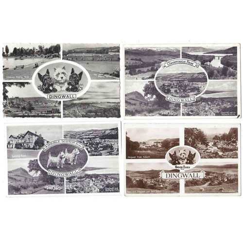 Dingwall multiview - dingwall,