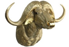 60CM CAPE BUFFALO HEAD WALL