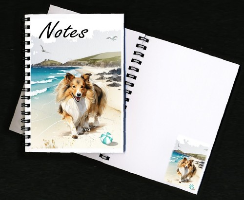 Shetland sheepdog sheltie - shetland,