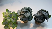 Set of 3 Miniature Potted Plants – For Dioramas, Barbie or 1:6 Scale Decor