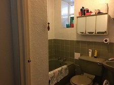 Vintage Avocado Bathroom Suite