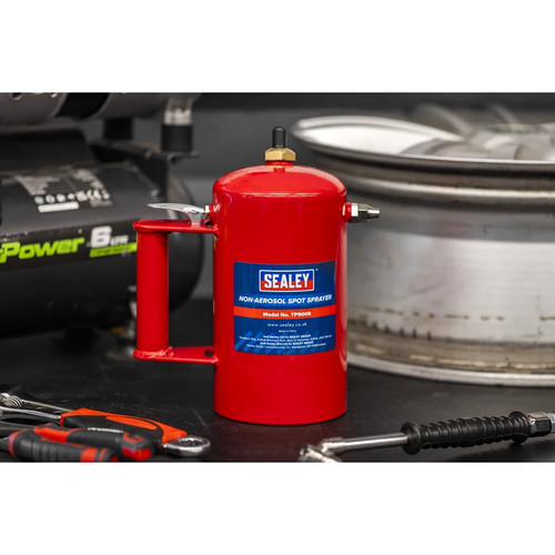 Reusable pressurised spray - spray, can