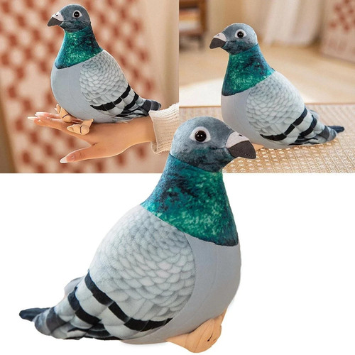 Simulation pigeon bird soft - simulation,