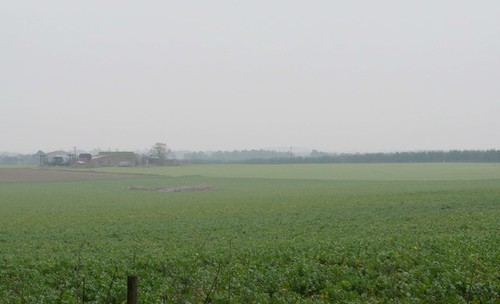 Photo 6x4 agricultural - 6x4,