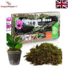 Natural Sphagnum Moss for