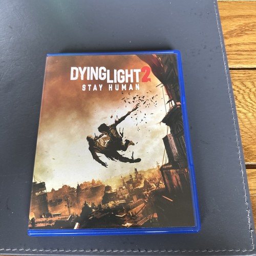 Dying light stay - 2,