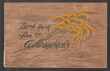 Birch Bark from the