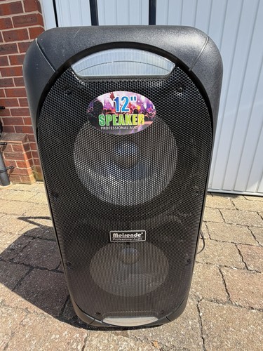 Party speaker meirende - party,