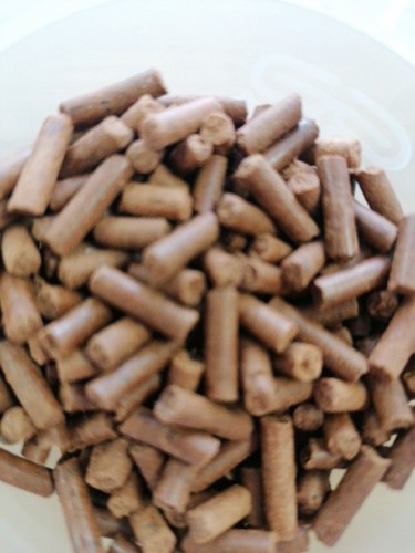 Mini earthworm sticks tropical - mini,