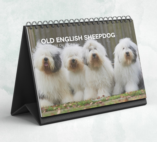 Old english sheepdog desk - sheepdog,