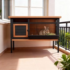 Elevated rabbit hutch - elevated, with