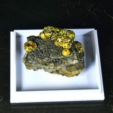 Campylite from Dry Gill Mine
