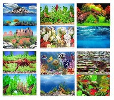 Aquarium Fish Tank Background