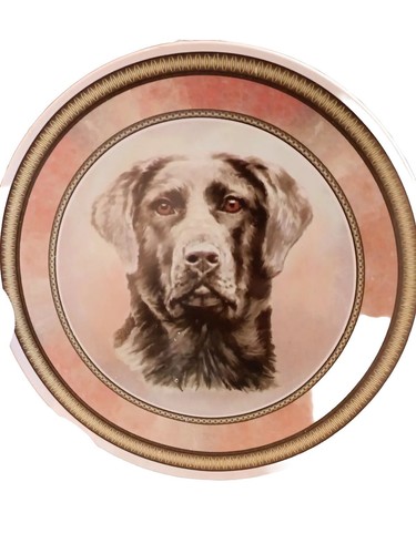 Black labrador collectors - black,