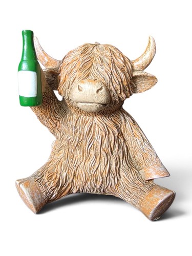 Highland cow drinking - highland, beer