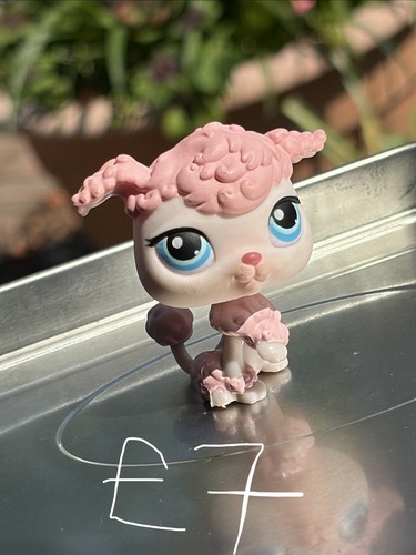 Pink white poodle animal - &,