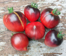 Sgt Pepper tomato seeds x 20
