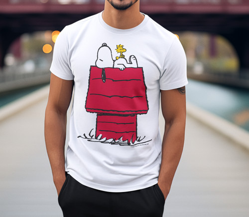 Peanuts snoopy woodstock dog - peanuts,
