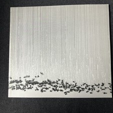 Nicky Coutts: Insectile Coutts