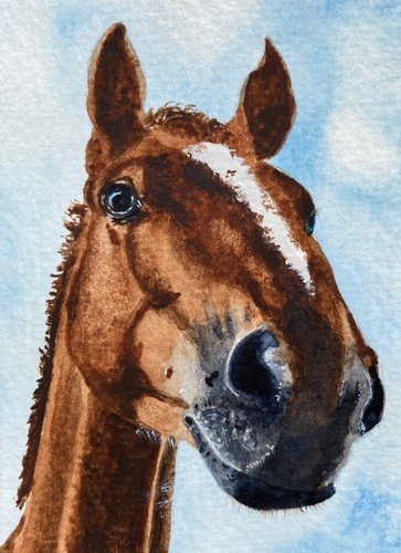 Original watercolour horse - original,