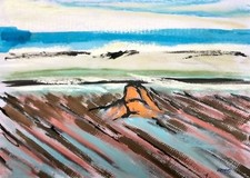 WIDEMOUTH BAY 2 CORNWALL