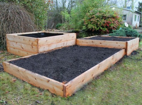 Cedar raised beds - raised, natural