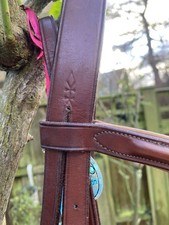 Mark Todd Full Size Havana