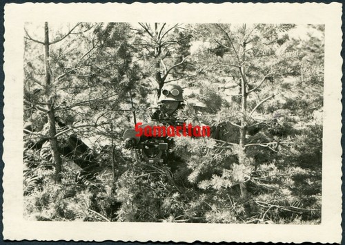 Early ww2 original photo - f8/7,