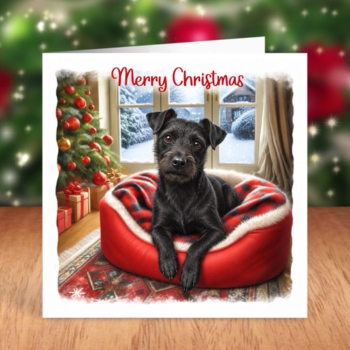 Patterdale terrier dog - patterdale,