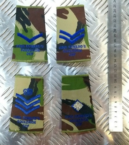Ccf rank slide woodland dpm - slide,