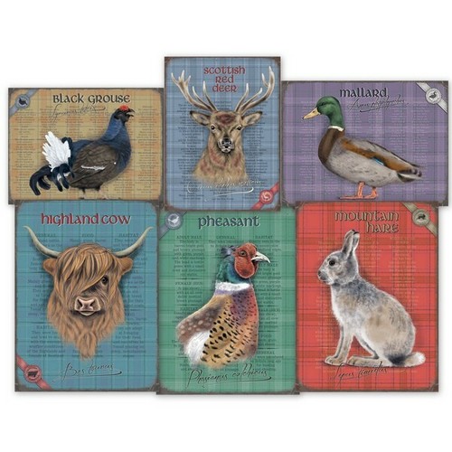 Pheasant hare grouse duck red - grouse,