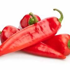 Chilli Plant Collection - 'Apache' and 'Joker' - 6 x Plug Plant Pack