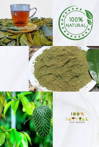 Dried soursop leaf powder 100 - dried,