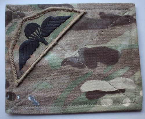 British army parachute wings - british, army,