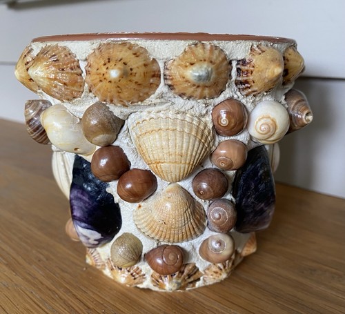 Vintage sea shell hand - sea,