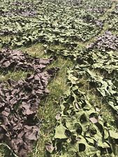 NEW Genuine British Army Camouflage Camo Net Netting Hunting Military Den MK7
