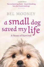 A Small Dog Saved My Life By