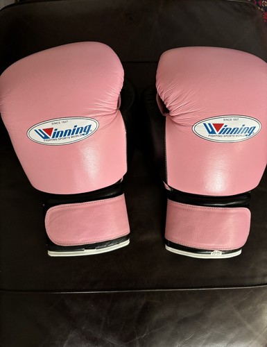 Winning boxing gloves - winning,