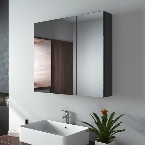 Bathroom mirror cabinet double - mirror,