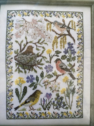 Mary hickmott new stitches - mary,