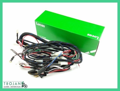 Wiring harness main lucas - wiring, main,