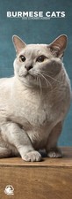 Burmese Cats Slim Wall Calendars 2026
