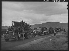 Photo:Montana. Trucks full of