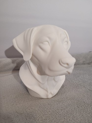 Labrador retriever bust - labrador,