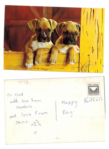 Vintage postcard two boxer - -,